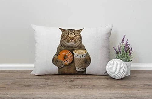 Farmhouse Decorative Outdoor Throw Pillow Covers for Couch Sofa Bed The Jcp155