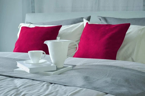 Set of 2 Velvet Throw Pillow Covers Decorative Pillow Cases 18"x18" Rose Red