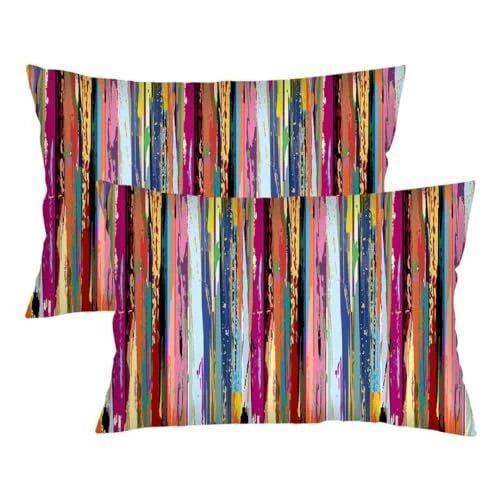Abstract Art Painting Throw Pillow Cover Queen Size Set of 2 Rainbow Color 134