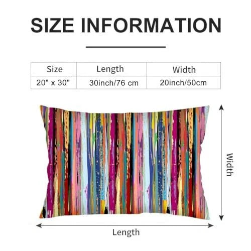 Abstract Art Painting Throw Pillow Cover Queen Size Set of 2 Rainbow Color 134